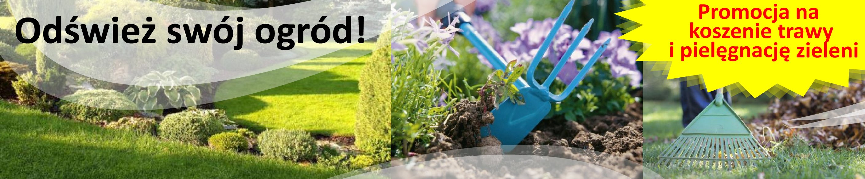 baner-promocja